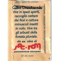 Rückseite