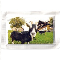1 - Rückseite