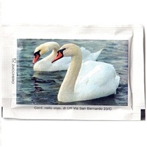 Rückseite