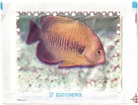 2 - Rückseite