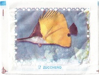 4 - Rückseite