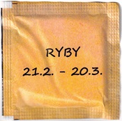 Rückseite